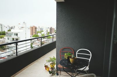 Close-up of potted plant on balcony