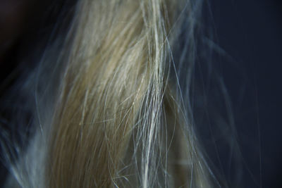 Close-up of cropped woman with blond hair