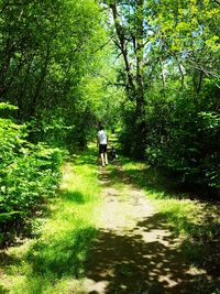 Rear view of men walking in forest