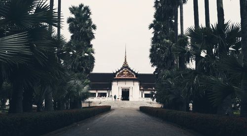 Footpath amidst trees leading towards temple