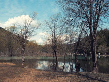 Bare trees by lake against sky