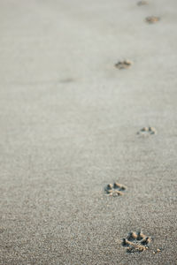 Close-up of sand on beach