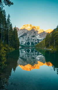 Scenic view of lake by trees against clear sky