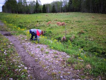 Boy picking flowers while standing on land