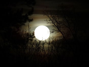 Low angle view of moon in sky at night