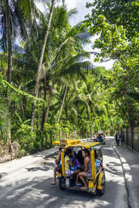 People on road against trees in city