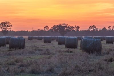 Hay bales on field against sky during sunset