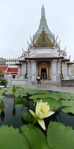 Water lily in temple against sky