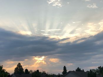 Low angle view of sunlight streaming through silhouette trees against sky