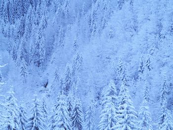 Full frame shot of snow covered land