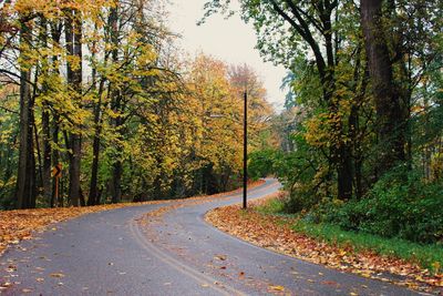 Road amidst trees against clear sky during autumn