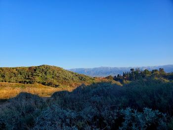 nature