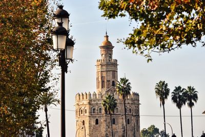 Low angle view of torre del oro and trees against sky