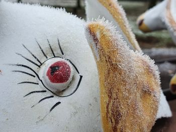 Close-up of frozen ice cream