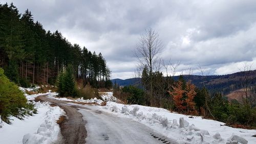 Road amidst trees against sky during winter
