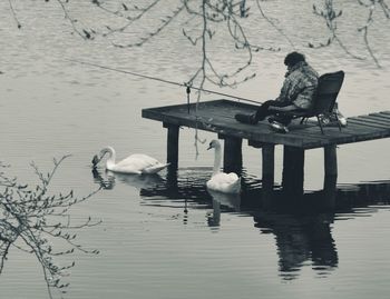 Bird perching in water