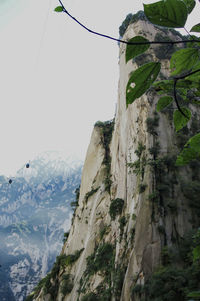 Low angle view of cliff against clear sky
