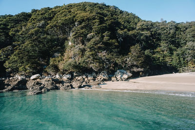 Scenic view of sea by trees against sky