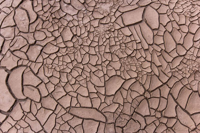Full frame shot of cracked landscape