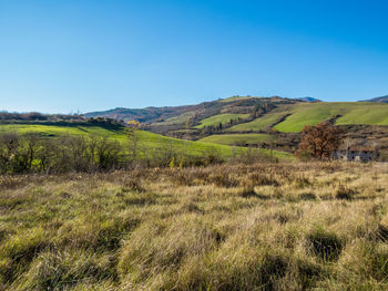 Scenic view of field against clear blue sky