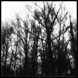 Low angle view of bare trees against sky