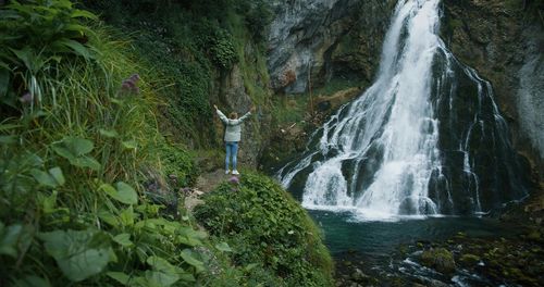 Scenic view of waterfall in forest