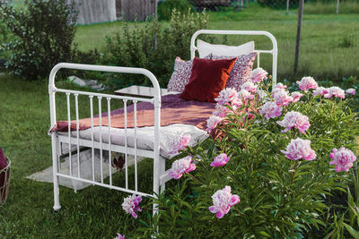 A wrought-iron bed on the street in the courtyard of a village house.