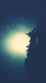 Low angle view of tree against sky during sunset