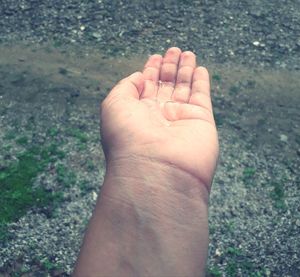 High angle view of human hand on land