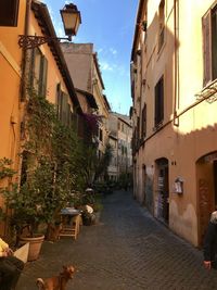 Narrow street amidst buildings in town