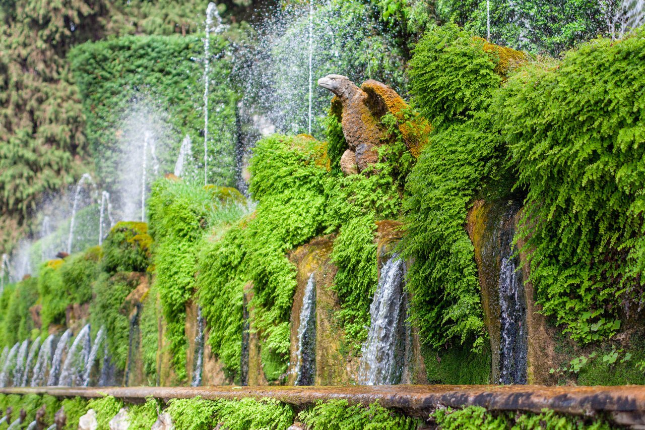 waterfall, plant, water, tree, green, nature, growth, vegetation, rainforest, day, motion, water feature, no people, forest, beauty in nature, jungle, garden, flowing water, splashing, scenics - nature, spraying, outdoors, long exposure, woodland, land, non-vascular land plant, fountain, leaf, shrub, blurred motion, flowing, flower, moss