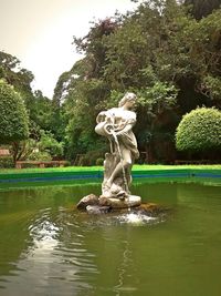 Pond in park