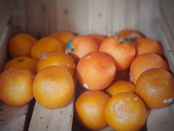 Close-up of orange fruits