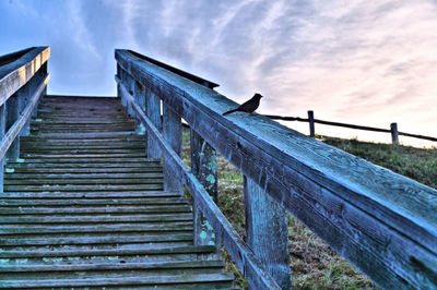 Low angle view of bird on staircase against sky