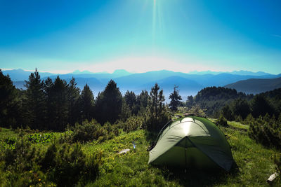 Tent in forest against sky