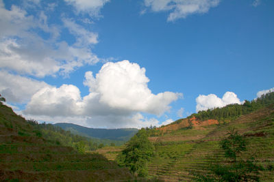 Panoramic view of landscape against sky