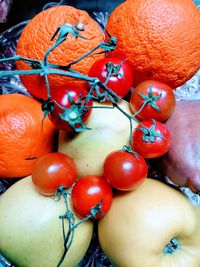 High angle view of tomatoes