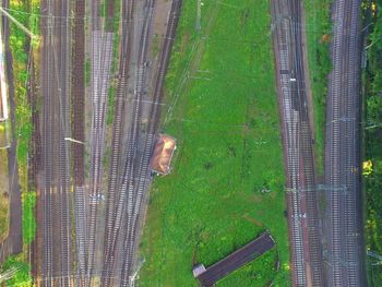 High angle view of bird on field