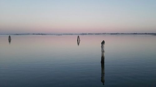 Wooden posts in lake against sky at sunset