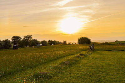 Scenic view of field against sky during sunset