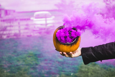 Close-up of hand holding purple flower