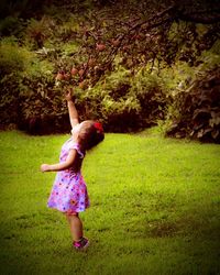 Side view of girl reaching towards apples on tree