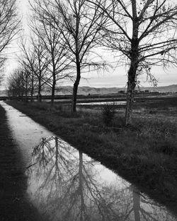 Bare trees on landscape against sky during winter