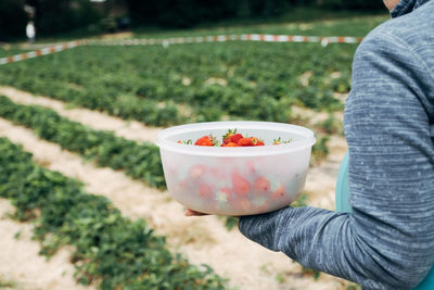 Midsection of woman holding strawberry in container on field