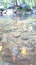 Stream flowing through rocks