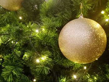 Close-up of illuminated christmas tree at night