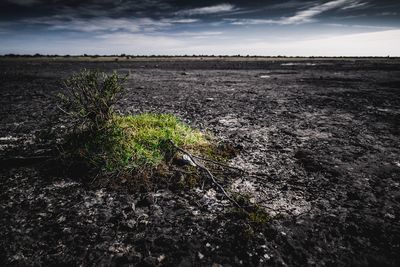 Scenic view of field against cloudy sky