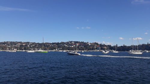 Sailboats in sea by buildings against blue sky