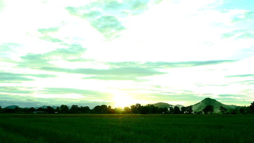 Scenic view of field against sky during sunset