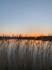 Scenic view of lake against clear sky during sunset